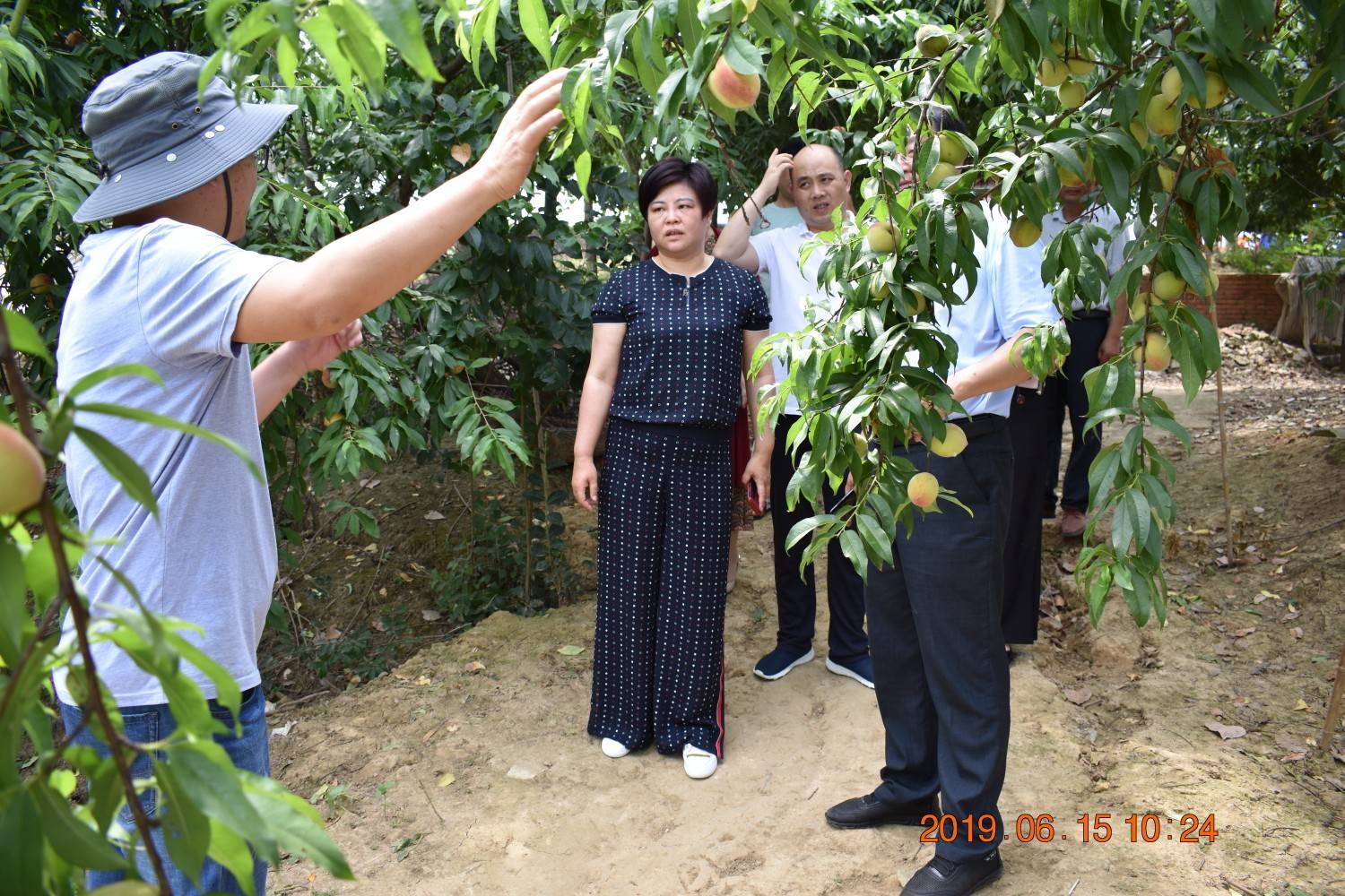 淮滨县王店乡首届农产品展销会在北庙白露河乡村旅游区盛大召开